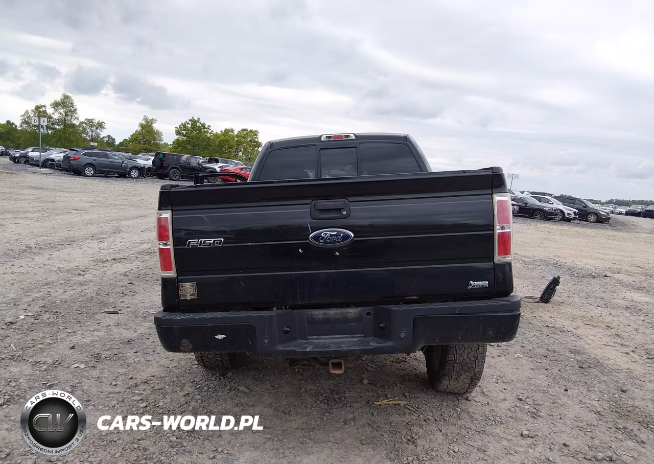 2010 Ford F-150 Fx4 VIN:1FTFW1EV4AFD10525 - 17