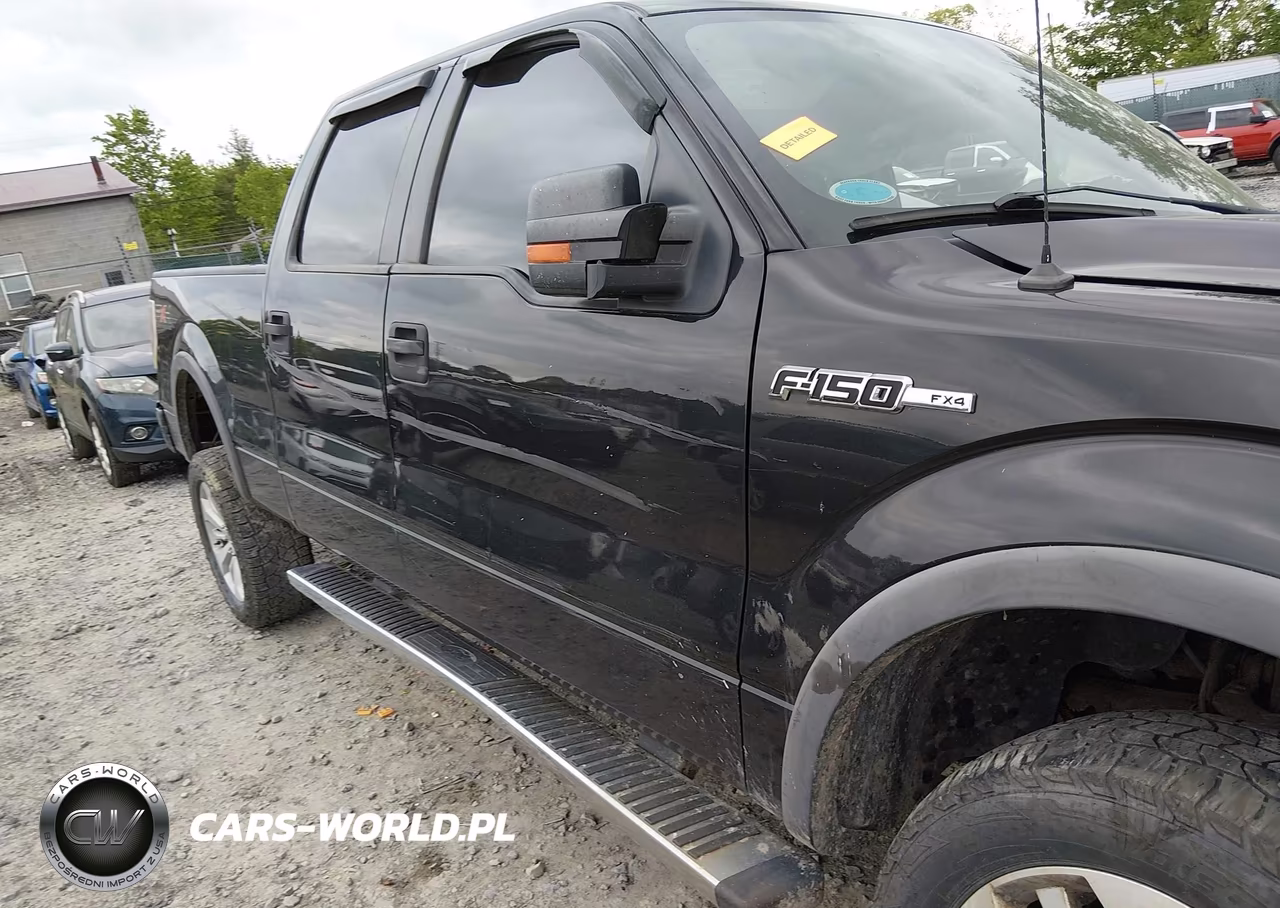 2010 Ford F-150 Fx4 VIN:1FTFW1EV4AFD10525 - 19