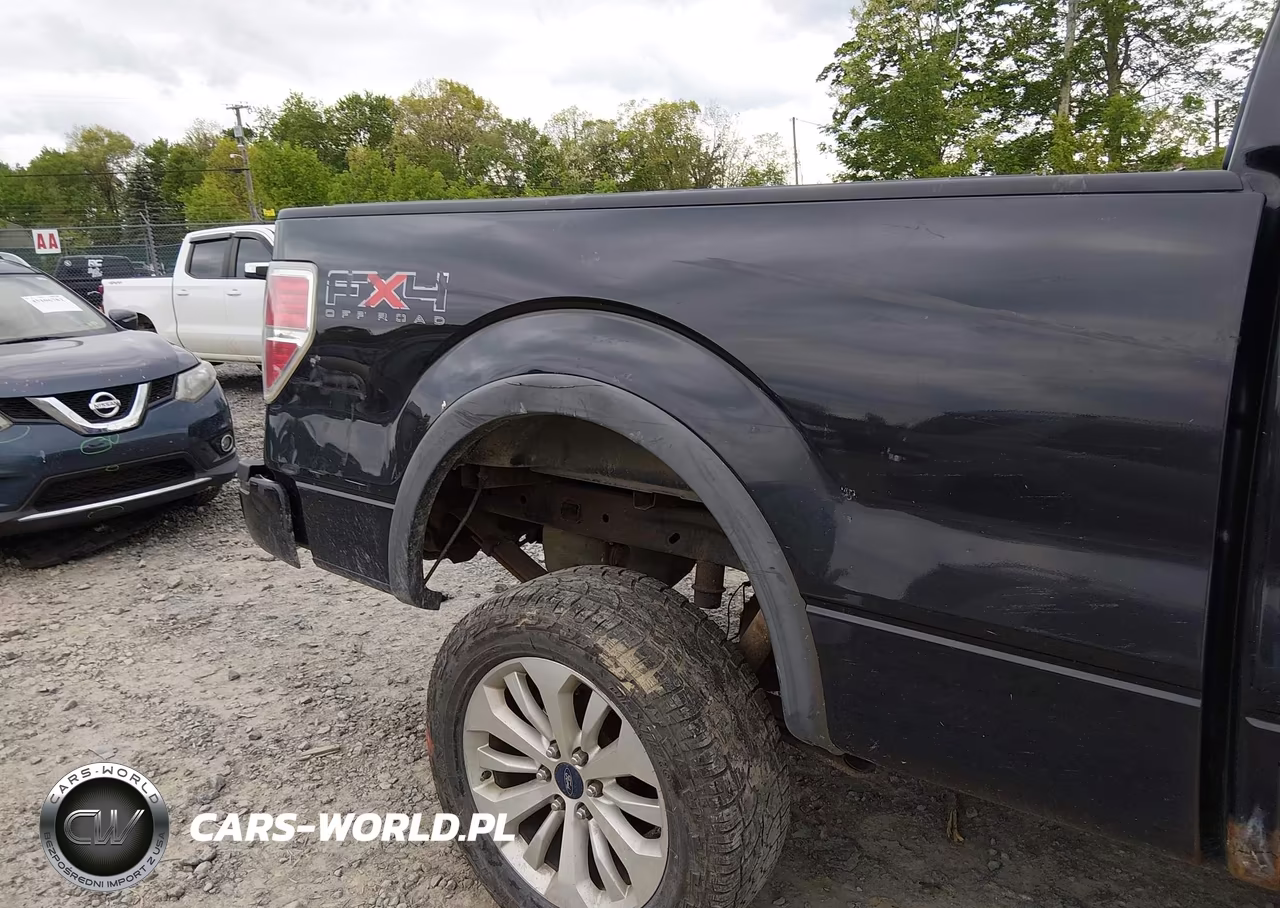2010 Ford F-150 Fx4 VIN:1FTFW1EV4AFD10525 - 20