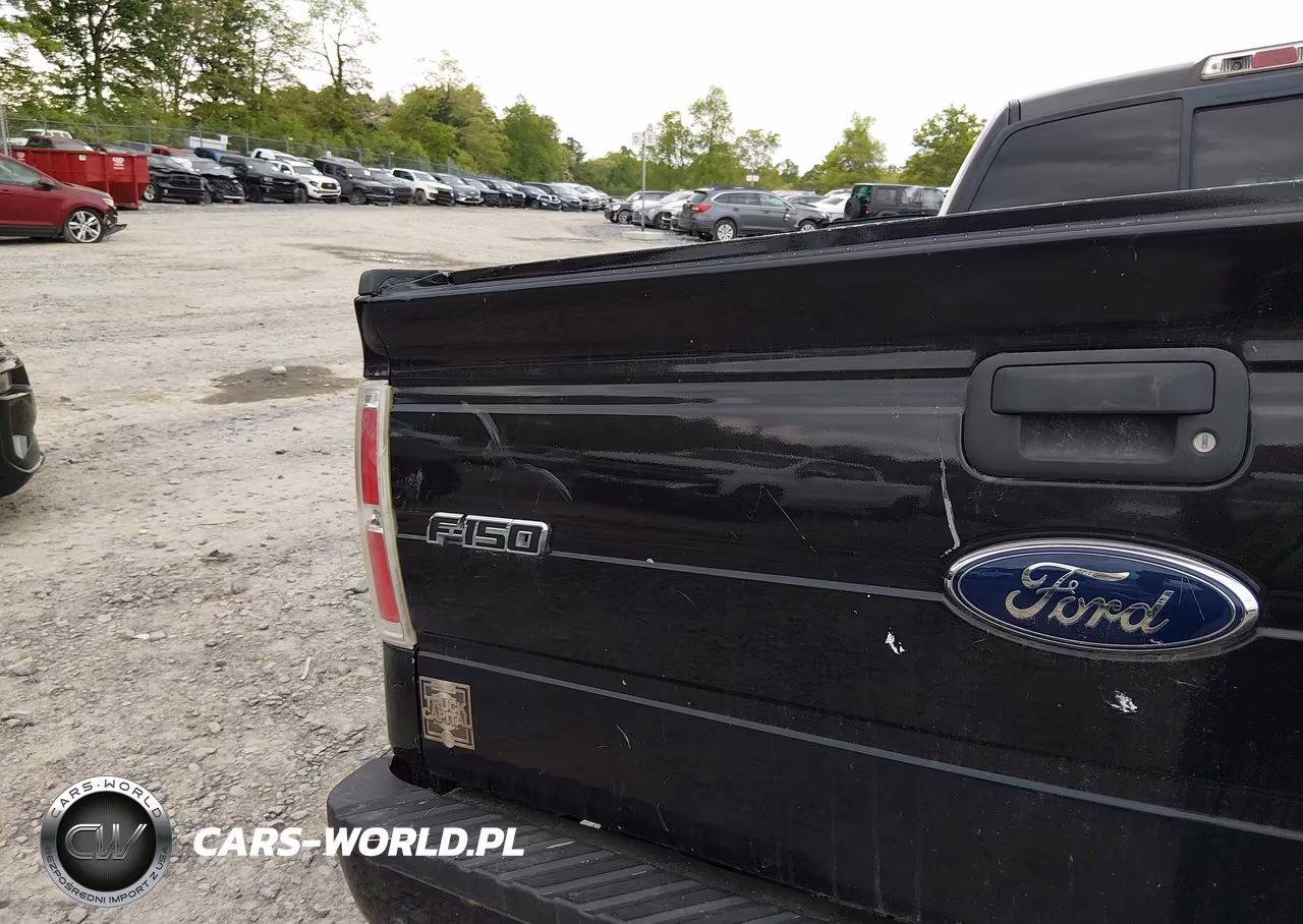 2010 Ford F-150 Fx4 VIN:1FTFW1EV4AFD10525 - 21