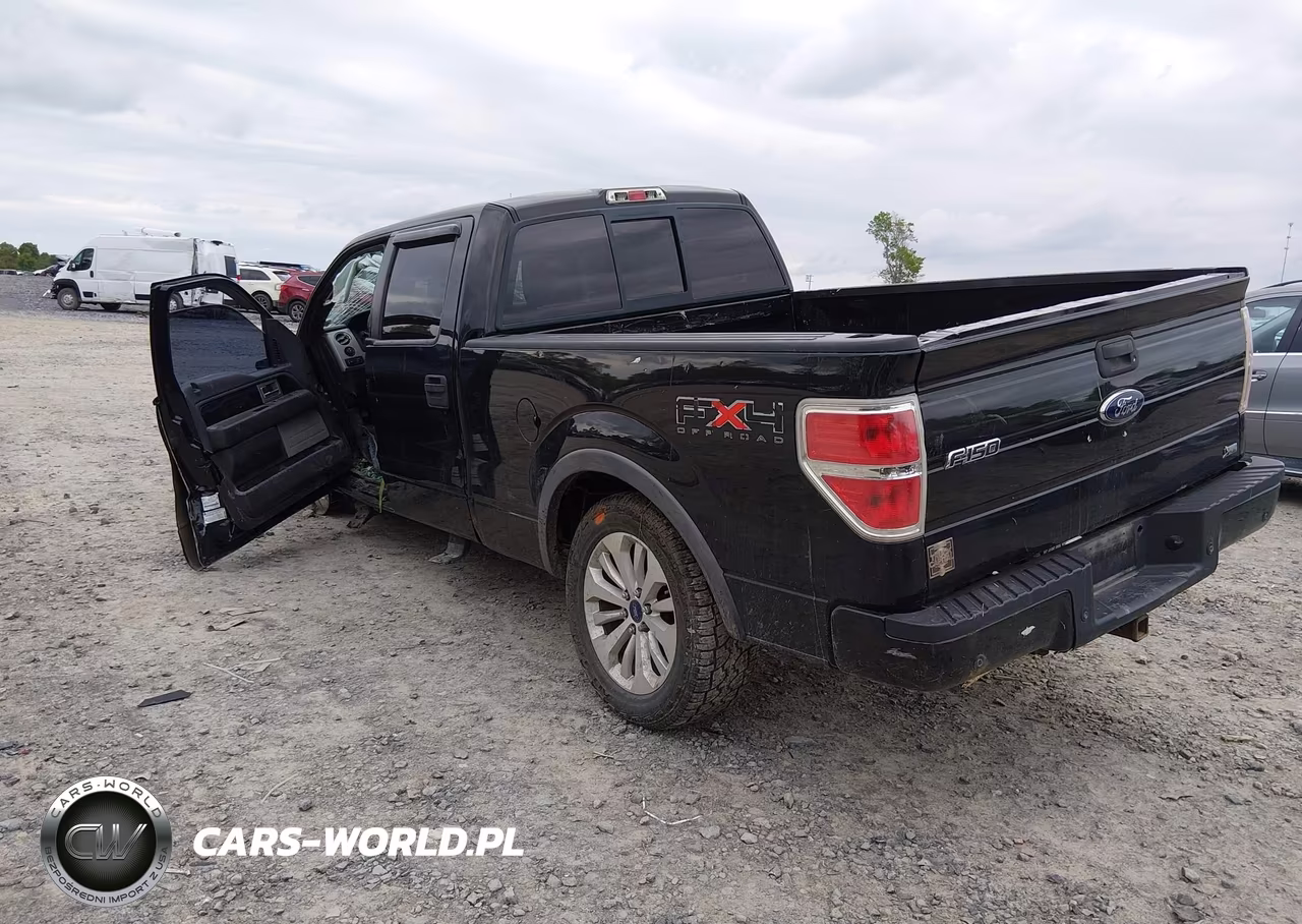 2010 Ford F-150 Fx4 VIN:1FTFW1EV4AFD10525 - 3