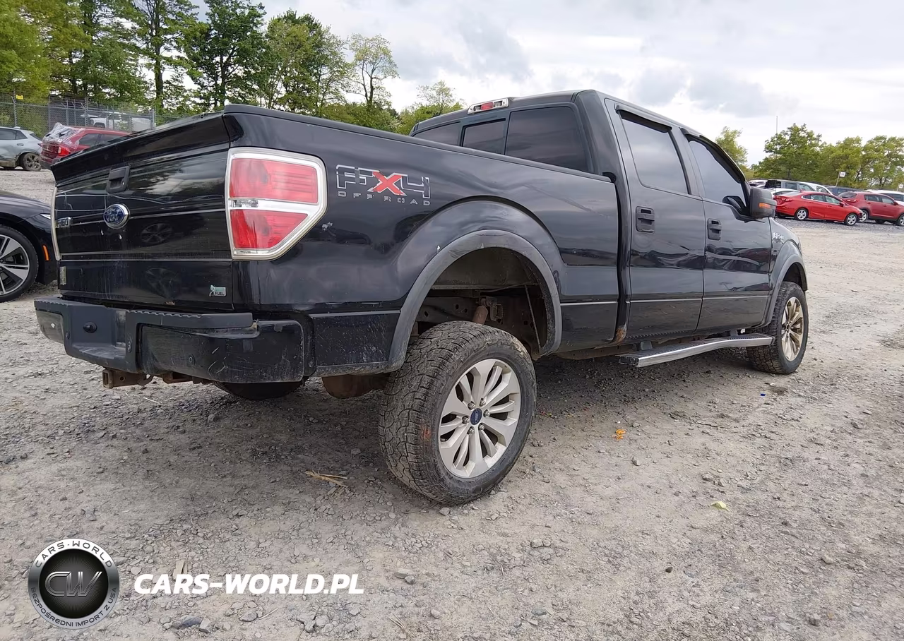 2010 Ford F-150 Fx4 VIN:1FTFW1EV4AFD10525 - 4