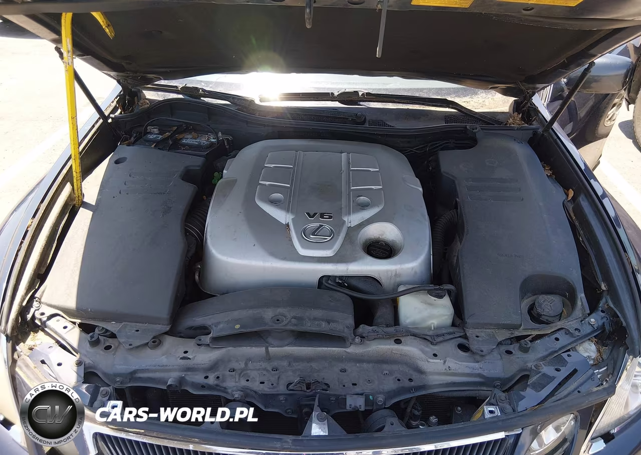 2006 Lexus Gs 300 VIN:JTHBH96S765007634 - 10