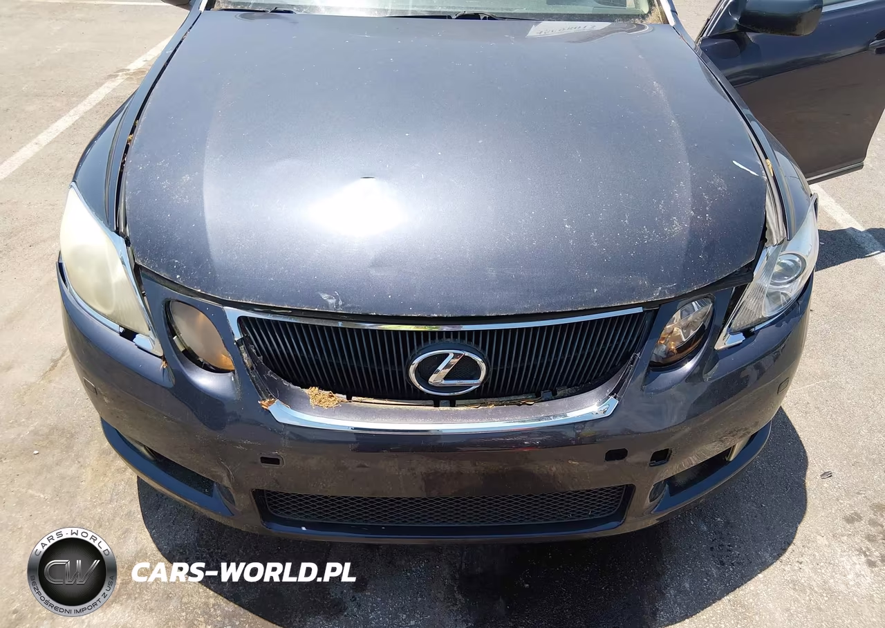 2006 Lexus Gs 300 VIN:JTHBH96S765007634 - 6