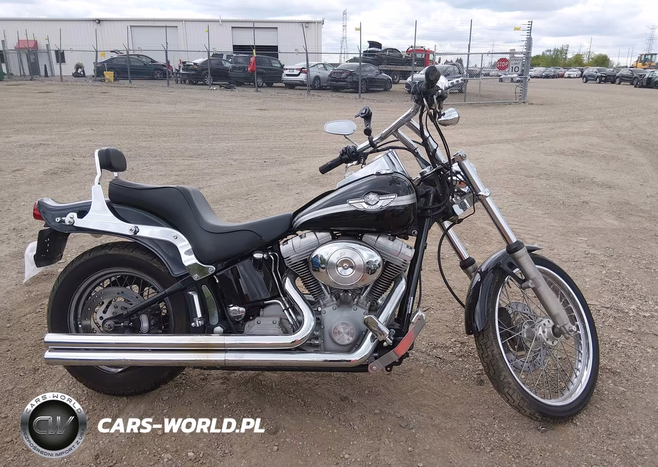 2003 Harley-Davidson Fxst VIN:1HD1BHY183Y092540 - 12