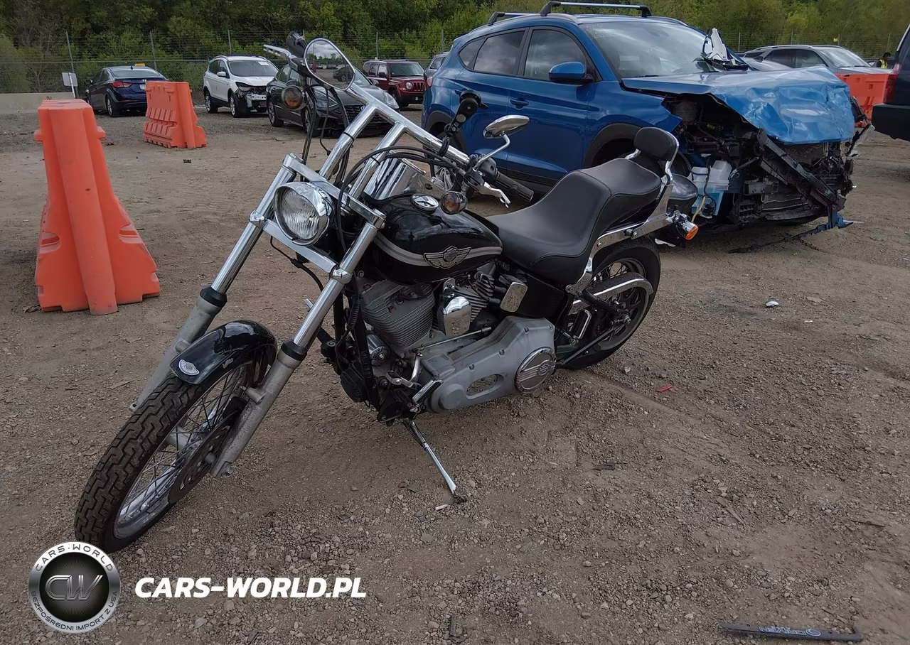 2003 Harley-Davidson Fxst VIN:1HD1BHY183Y092540 - 2