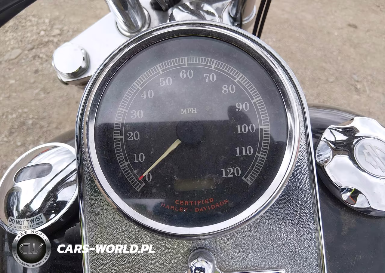 2003 Harley-Davidson Fxst VIN:1HD1BHY183Y092540 - 7