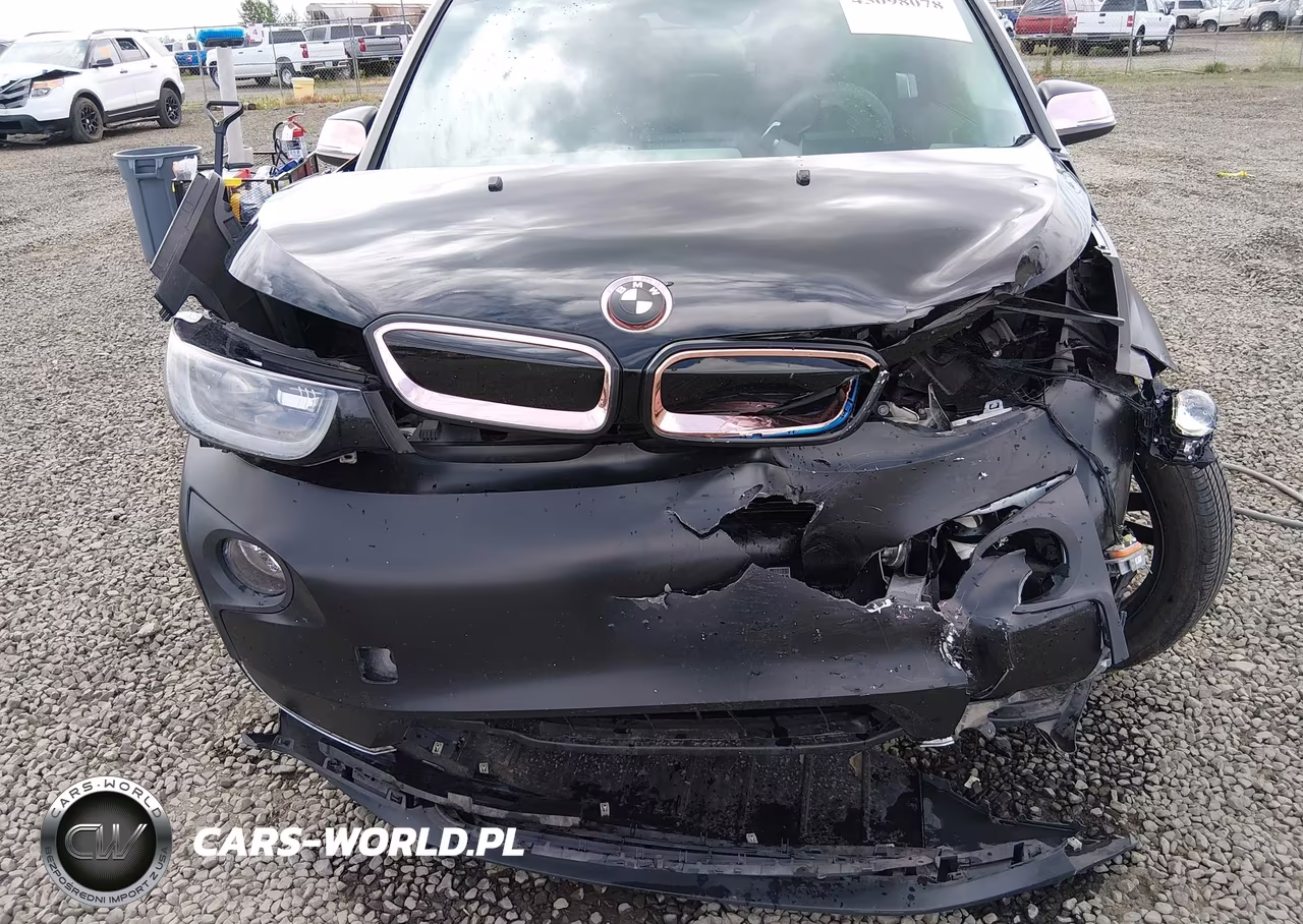 2014 BMW I3 Base W-Range Extender VIN:WBY1Z4C57EVX63067 - 6