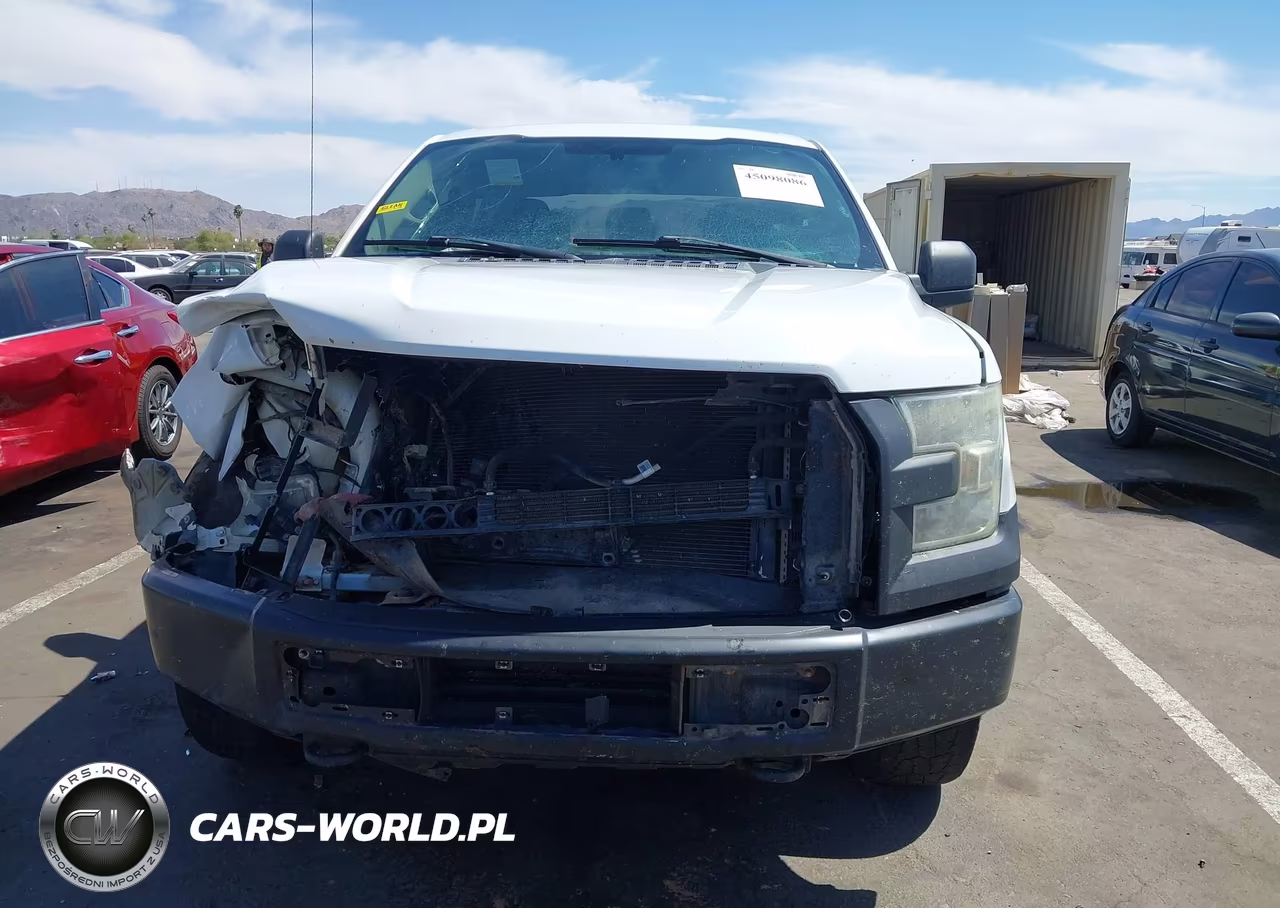 2016 Ford F-150 Xl VIN:1FTEW1EP1GFA86555 - 13