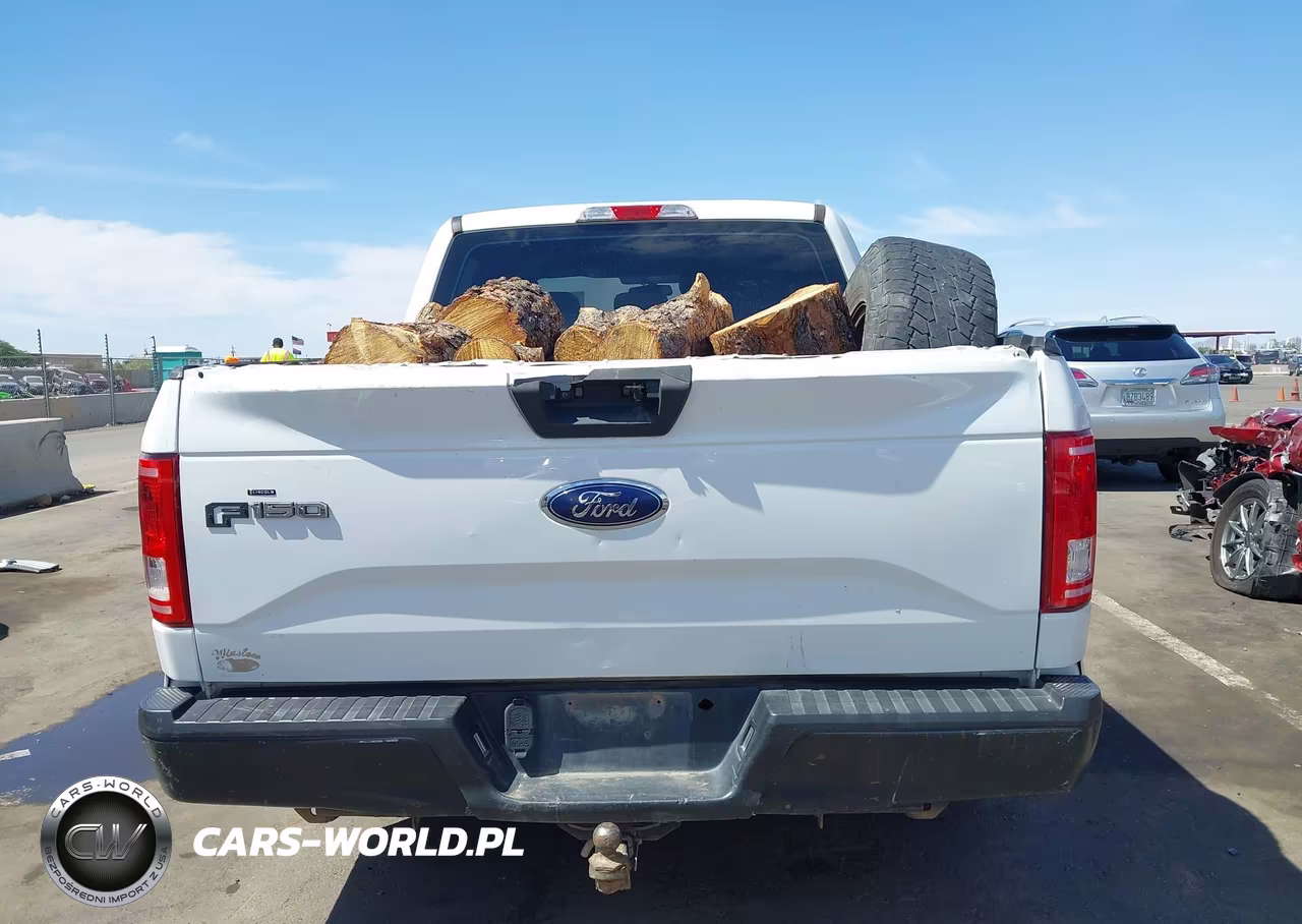 2016 Ford F-150 Xl VIN:1FTEW1EP1GFA86555 - 17
