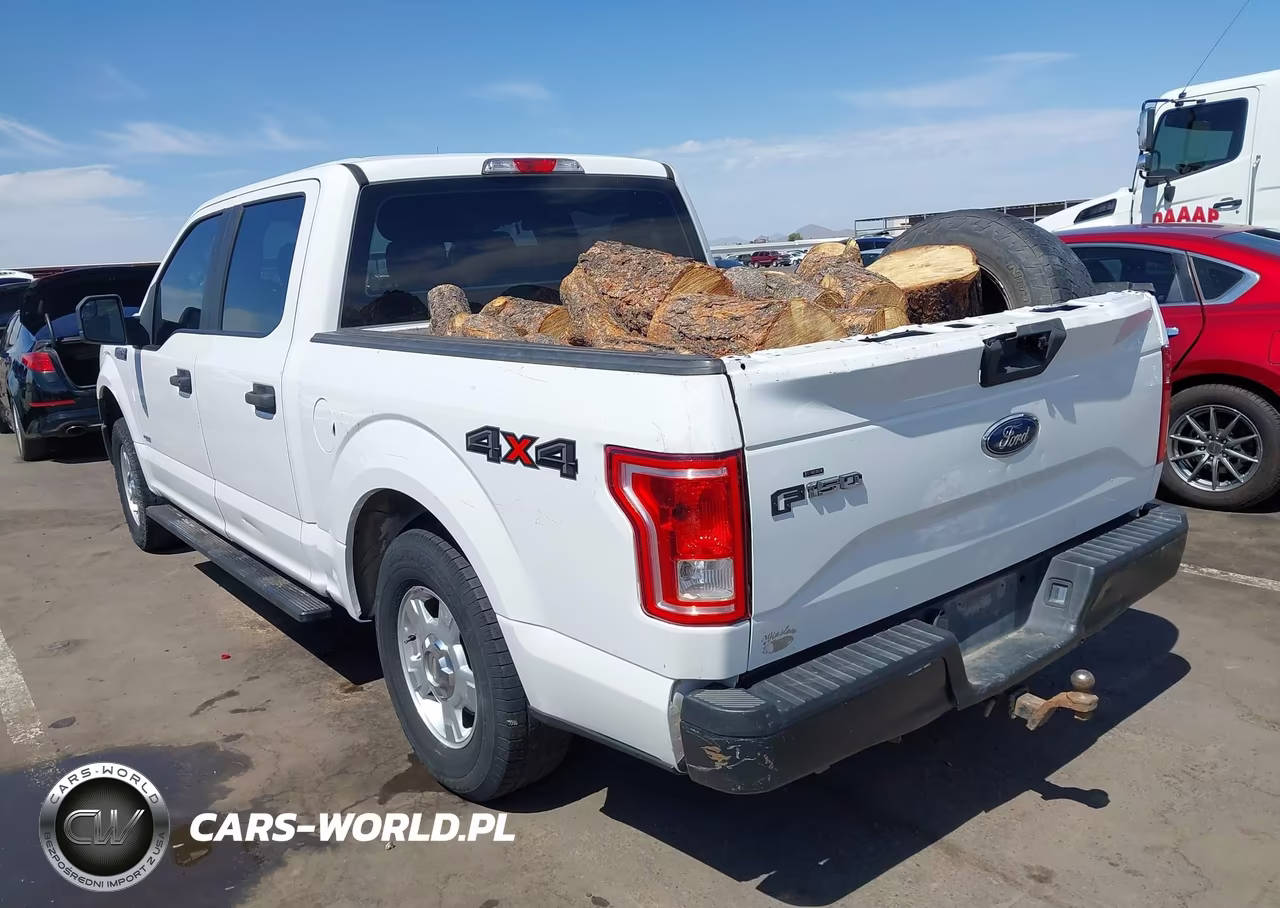 2016 Ford F-150 Xl VIN:1FTEW1EP1GFA86555 - 3