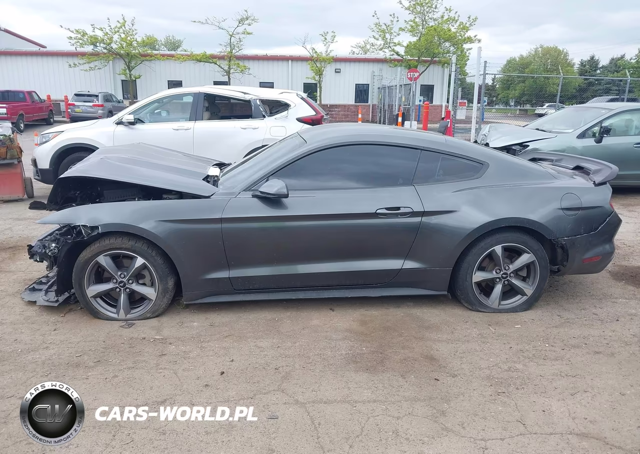 2016 Ford Mustang V6 VIN:1FA6P8AM2G5219003 - 14