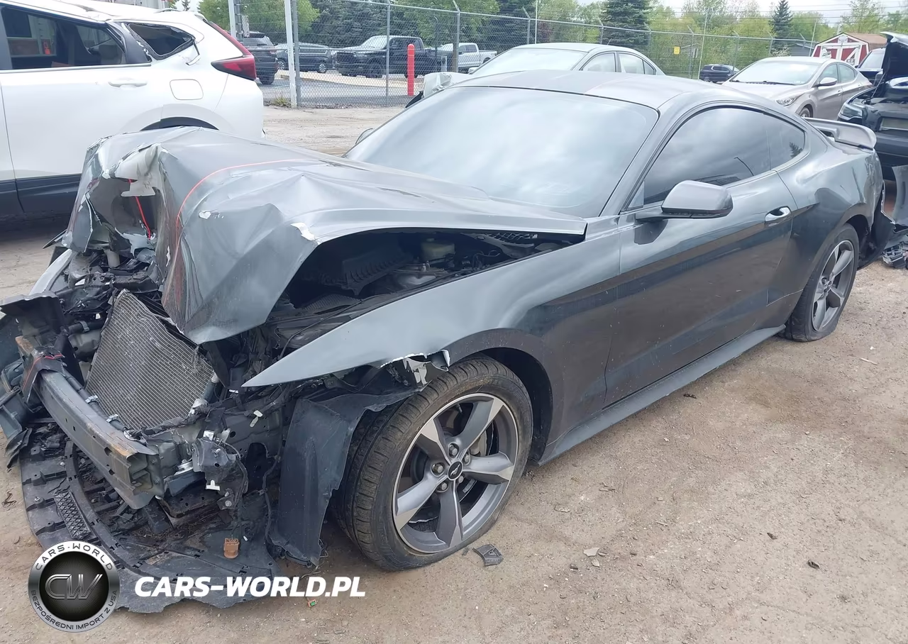 2016 Ford Mustang V6 VIN:1FA6P8AM2G5219003 - 2