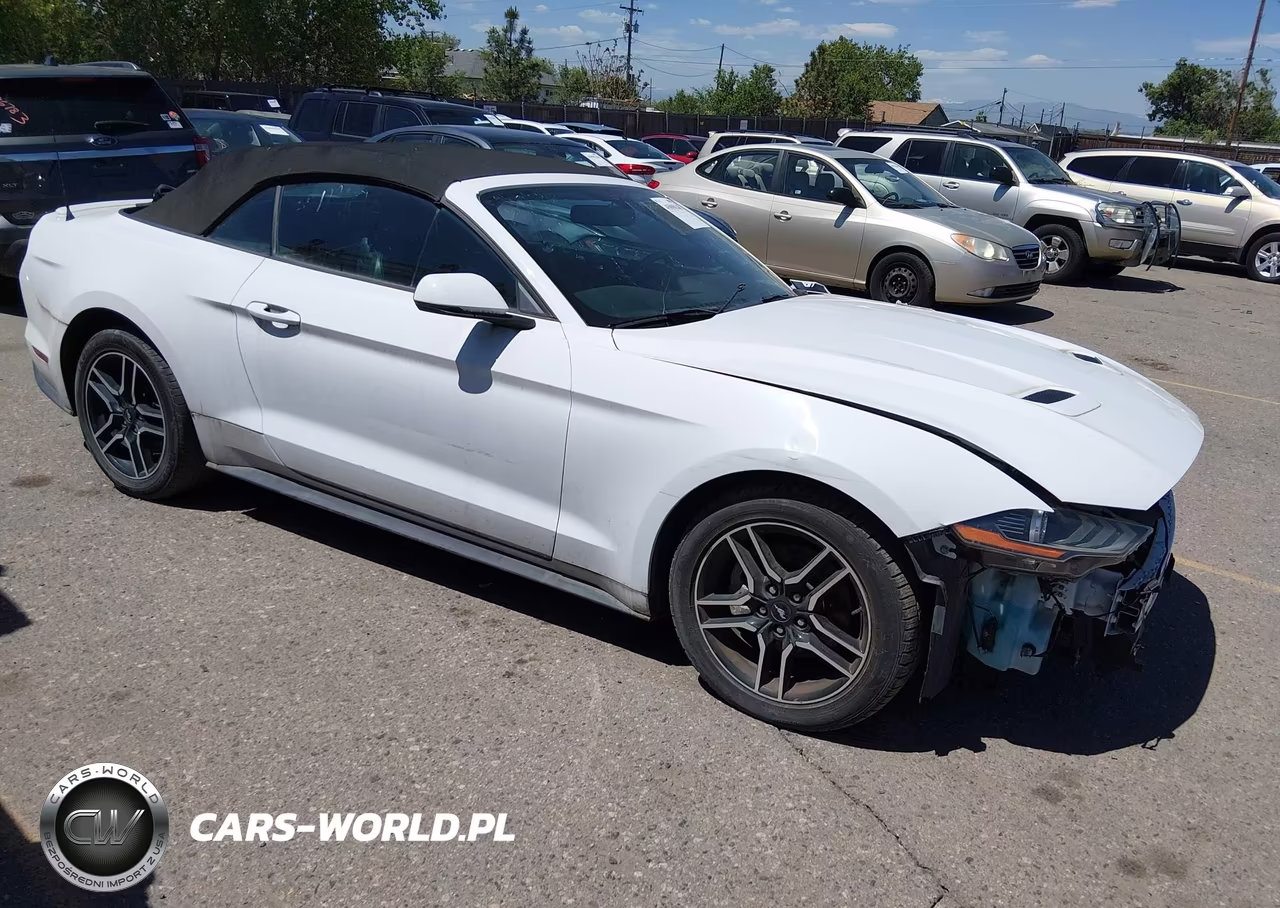 2020 Ford Mustang Ecoboost Premium VIN:1FATP8UH7L5118647 - 13
