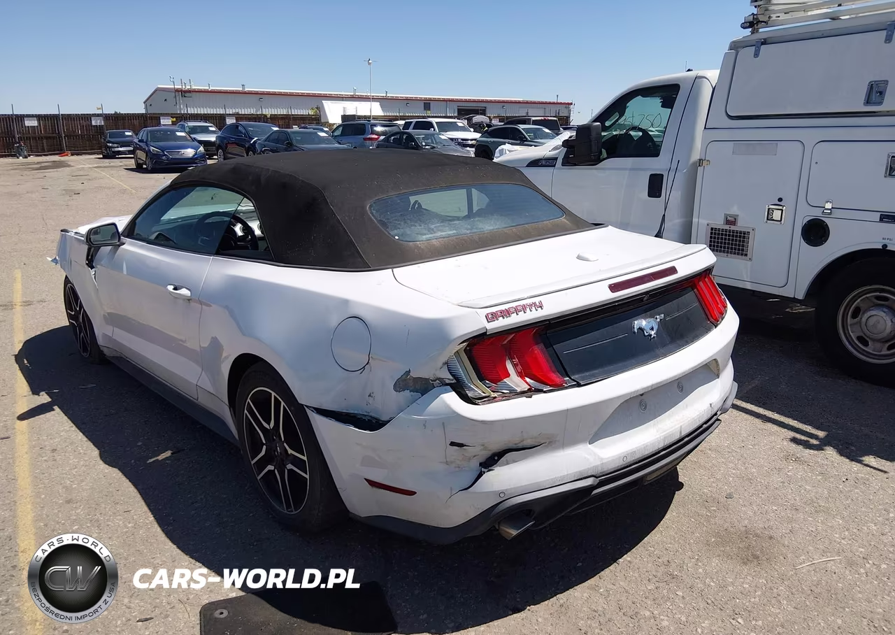2020 Ford Mustang Ecoboost Premium VIN:1FATP8UH7L5118647 - 3