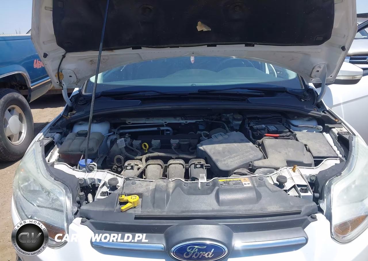 2014 Ford Focus Se VIN:1FADP3F24EL174351 - 10