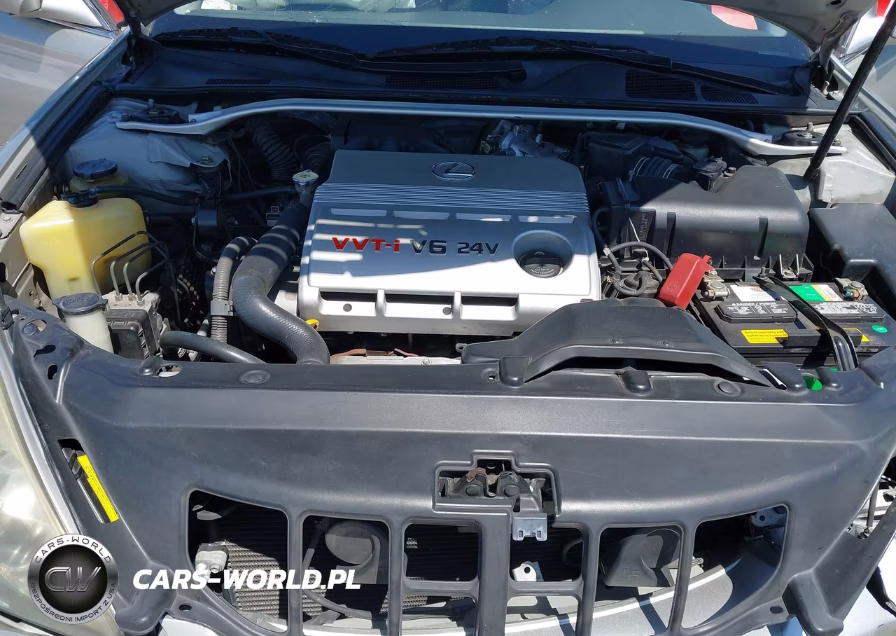 2003 Lexus Es 300 VIN:JTHBF30GX36009987 - 10