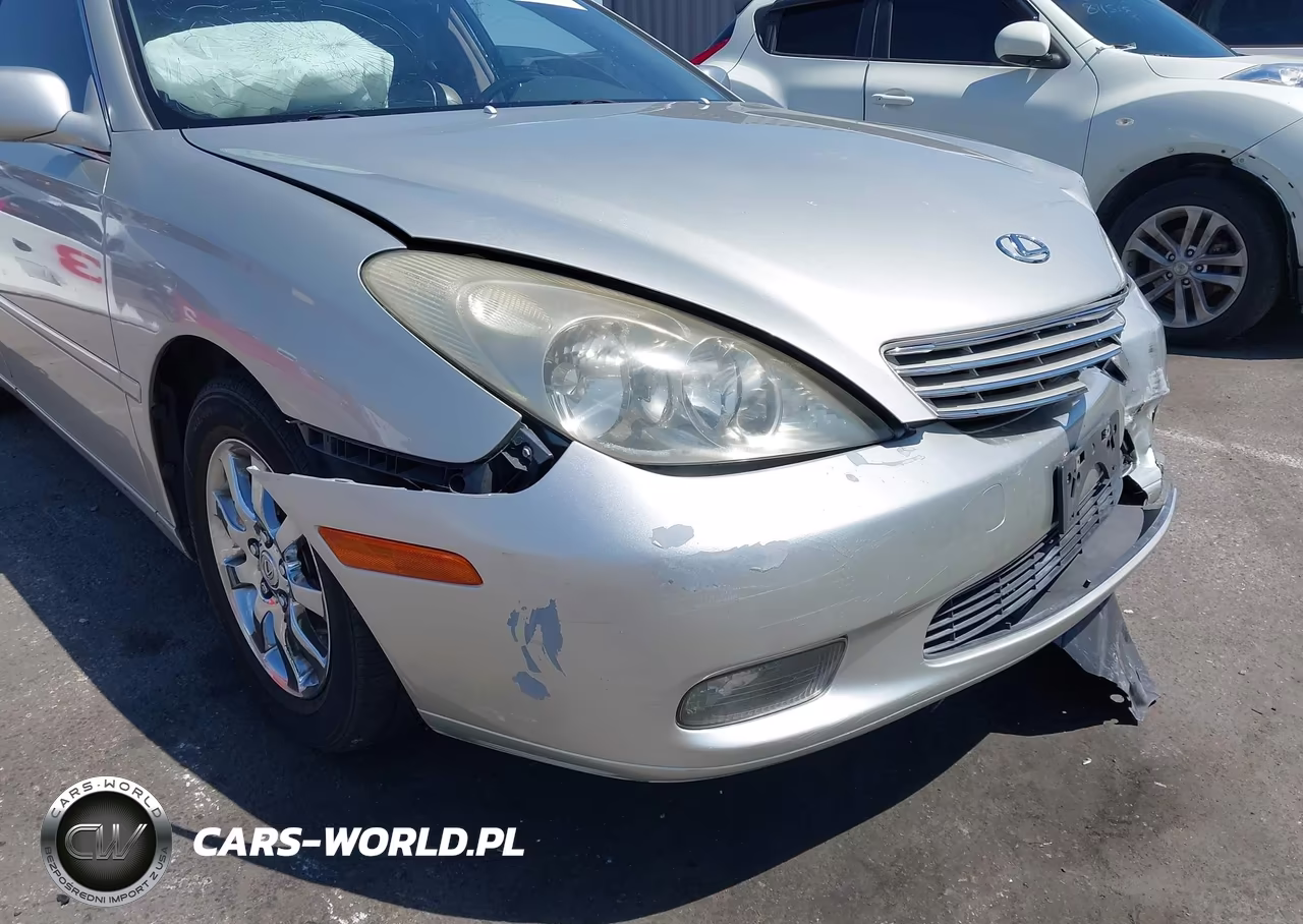 2003 Lexus Es 300 VIN:JTHBF30GX36009987 - 12