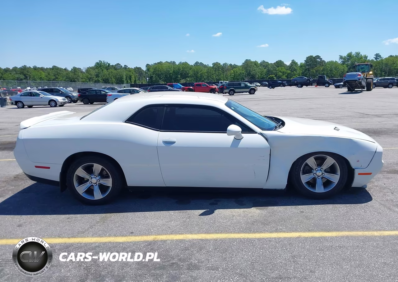 2019 Dodge Challenger Sxt VIN:2C3CDZAG1KH751726 - 13