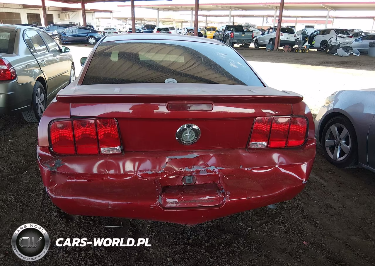 2008 Ford Mustang V6 Deluxe-V6 Premium VIN:1ZVHT80N085191001 - 6