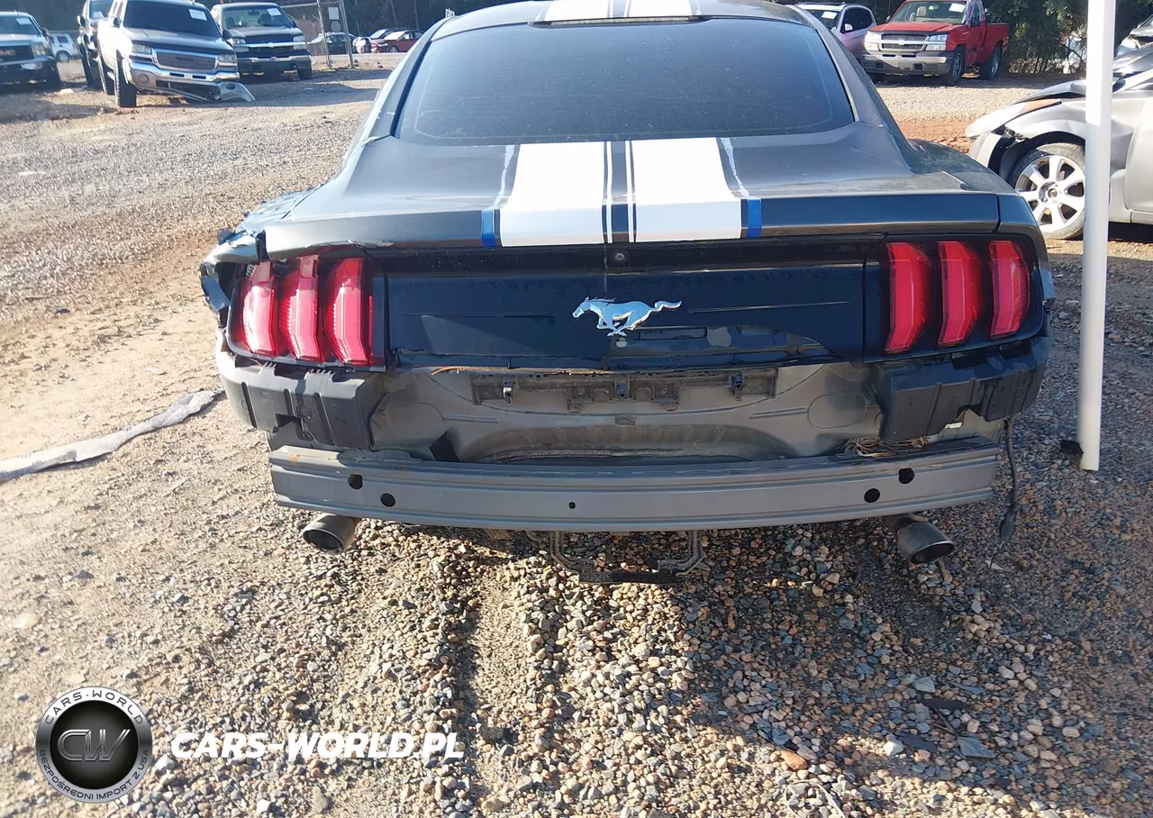 2018 Ford Mustang Ecoboost VIN:1FA6P8TH6J5179368 - 19