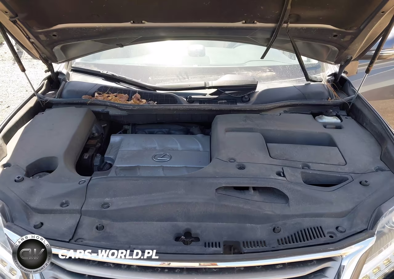 2015 Lexus Rx 350 VIN:2T2BK1BA0FC258284 - 10