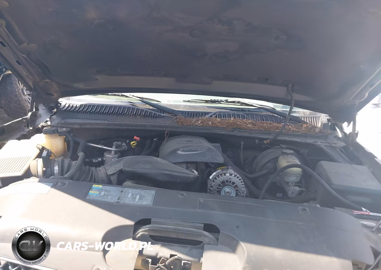 2005 Chevrolet Silverado 1500 Ls VIN:2GCEC19TX51135644 - 10
