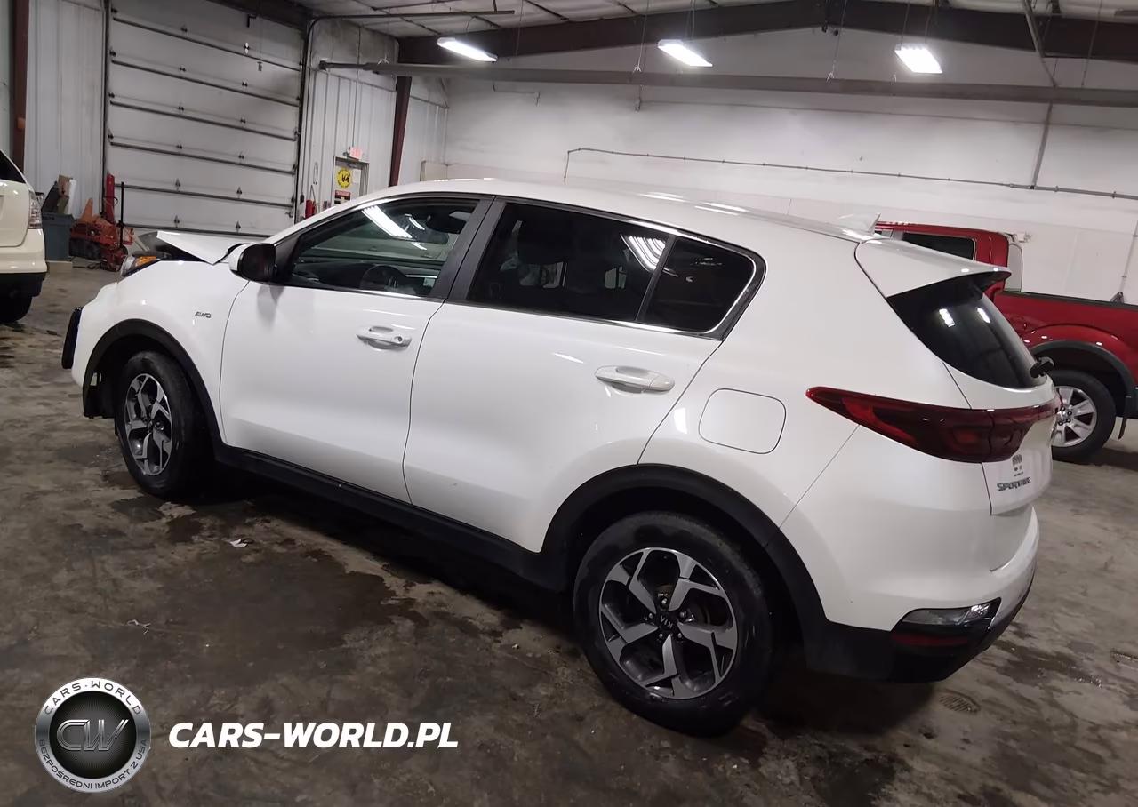 2022 Kia Sportage Lx VIN:KNDPMCAC0N7007543 - 3