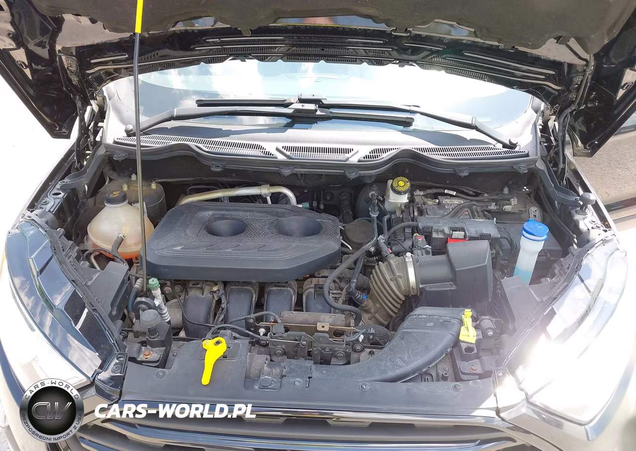 2020 Ford Ecosport S VIN:MAJ6S3FLXLC311824 - 10
