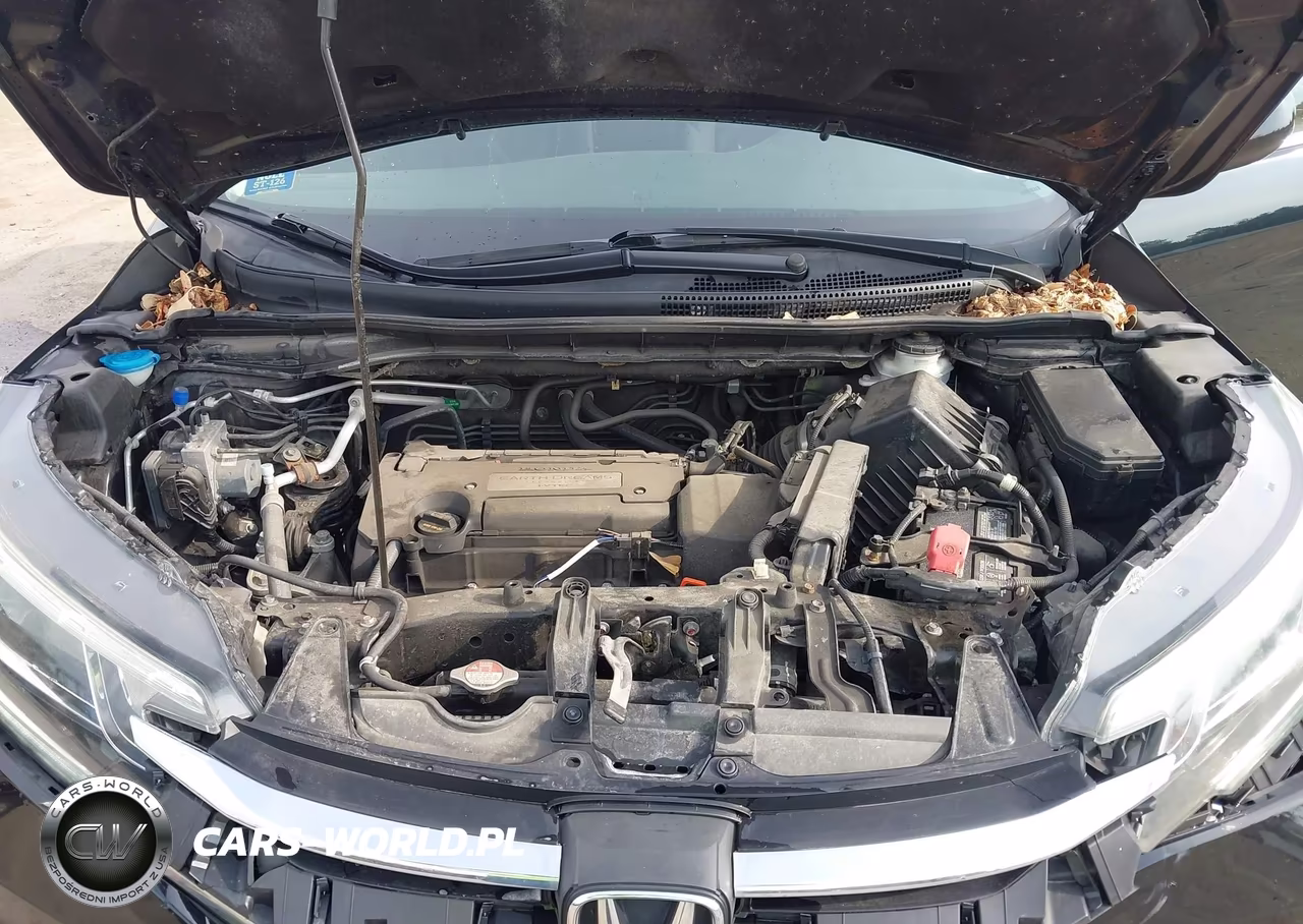 2015 Honda Cr-V Ex VIN:5J6RM4H59FL078667 - 10