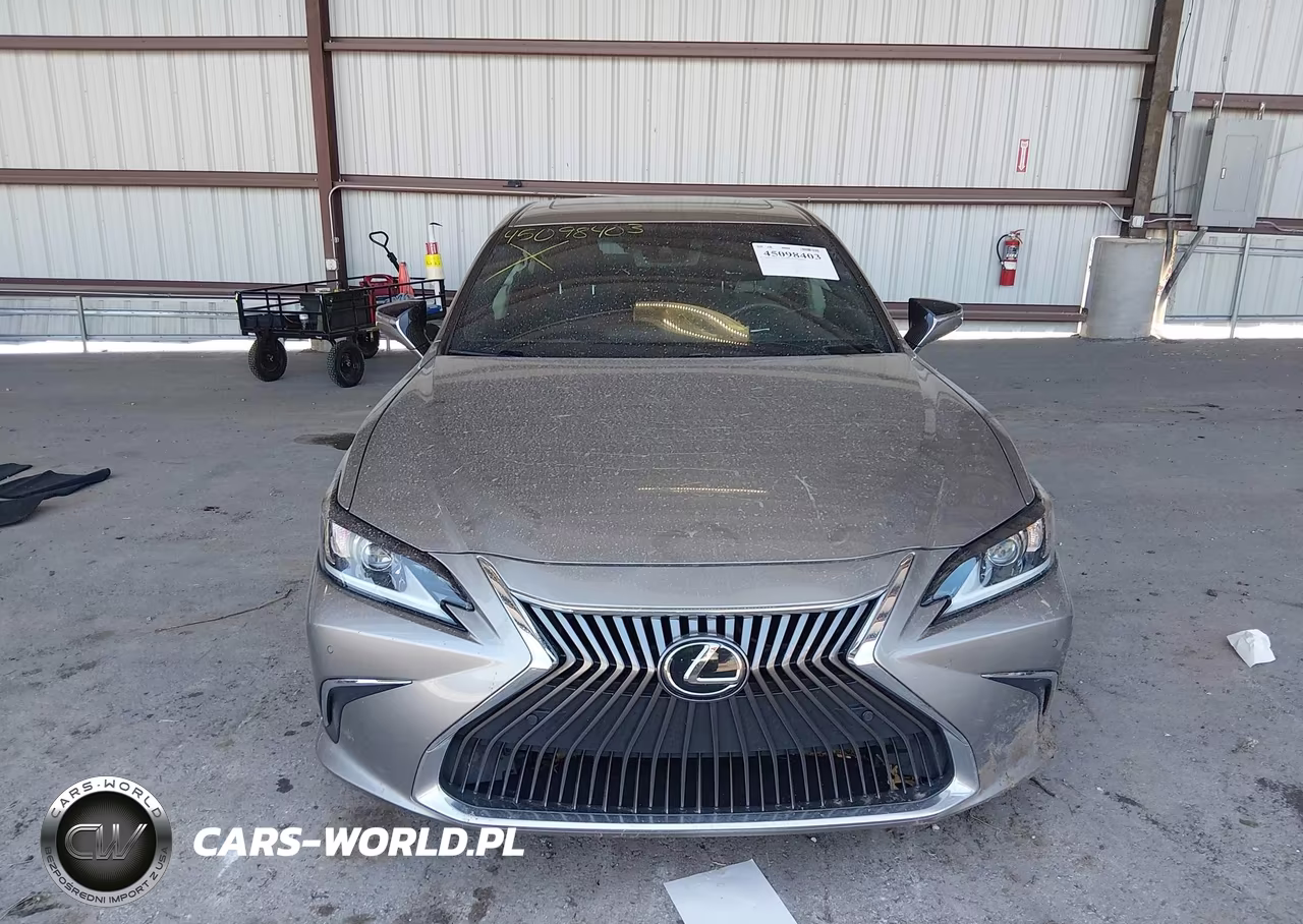 2019 Lexus Es 350 VIN:58ABZ1B16KU025821 - 12