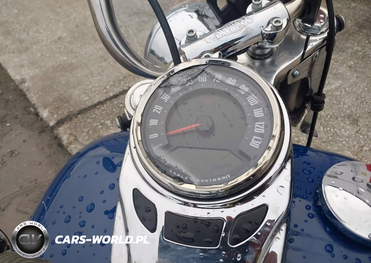 2023 Harley-Davidson Flhcs VIN:1HD1YBK16PB040997 - 7