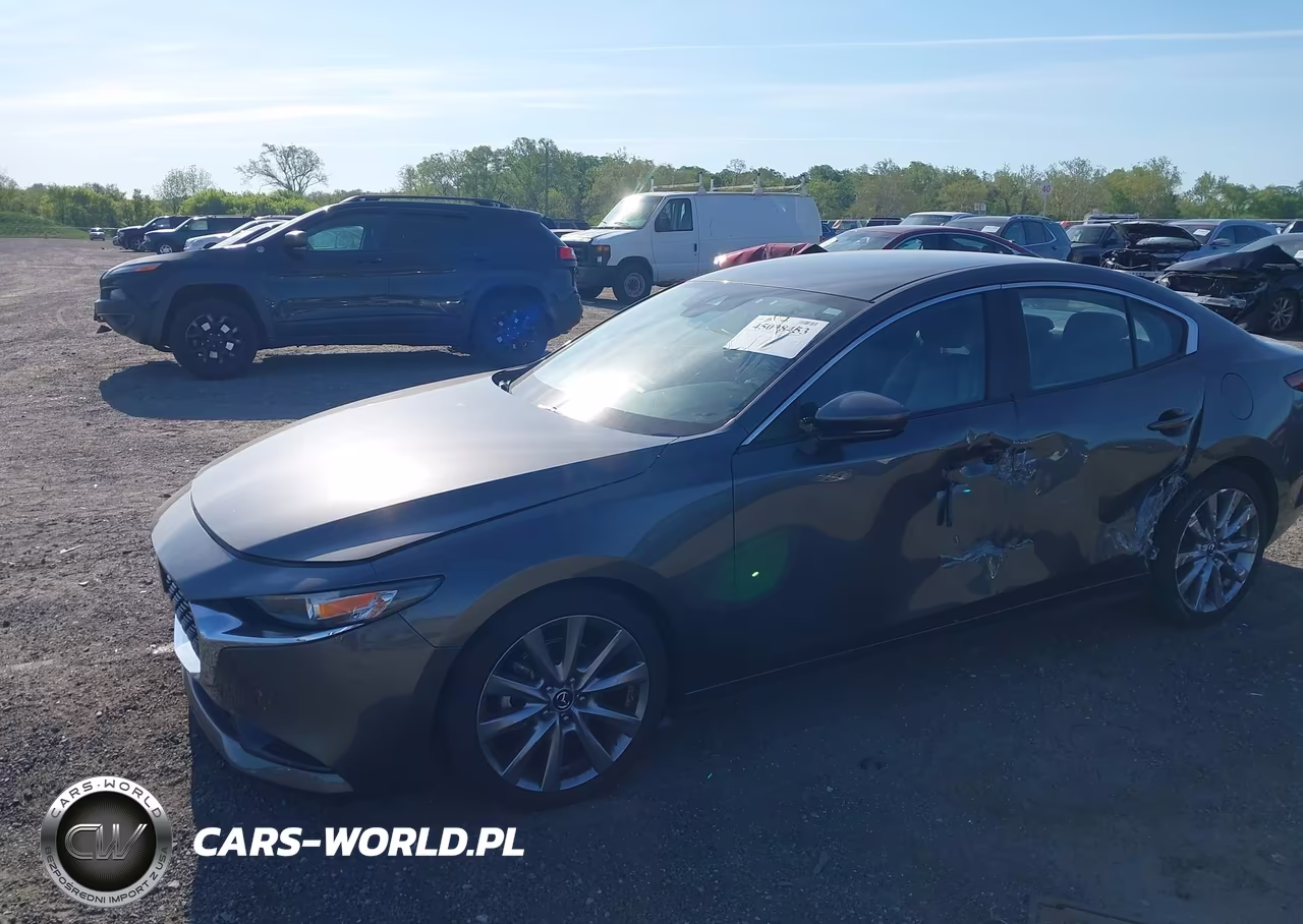 2019 Mazda Mazda3 Preferred Package VIN:JM1BPBCM4K1111260 - 2