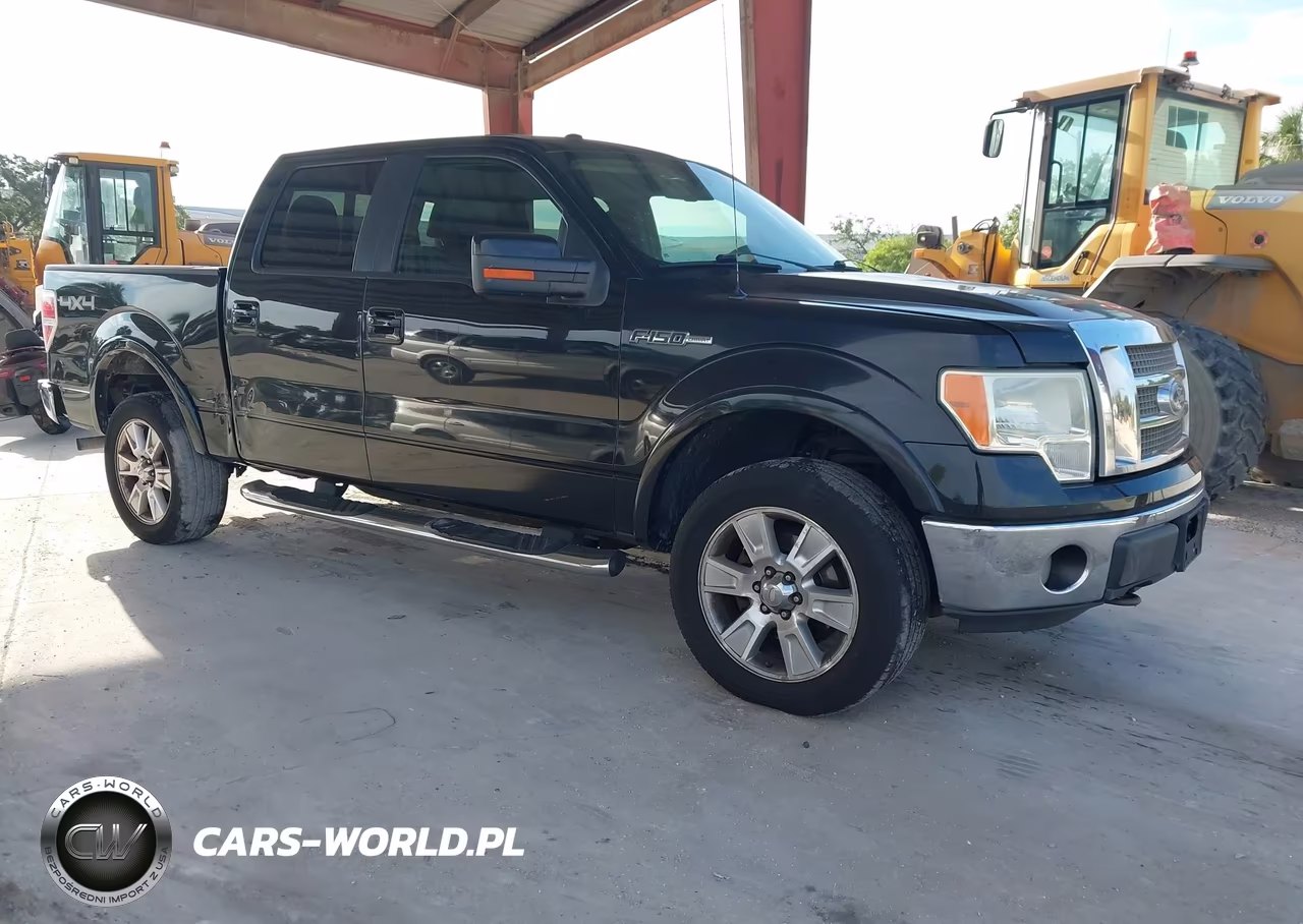 Główne zdjęcie 2010 Ford F-150 Fx4-Harley-Davidson-King Ranch-Lariat-Platinum-Xl-Xlt