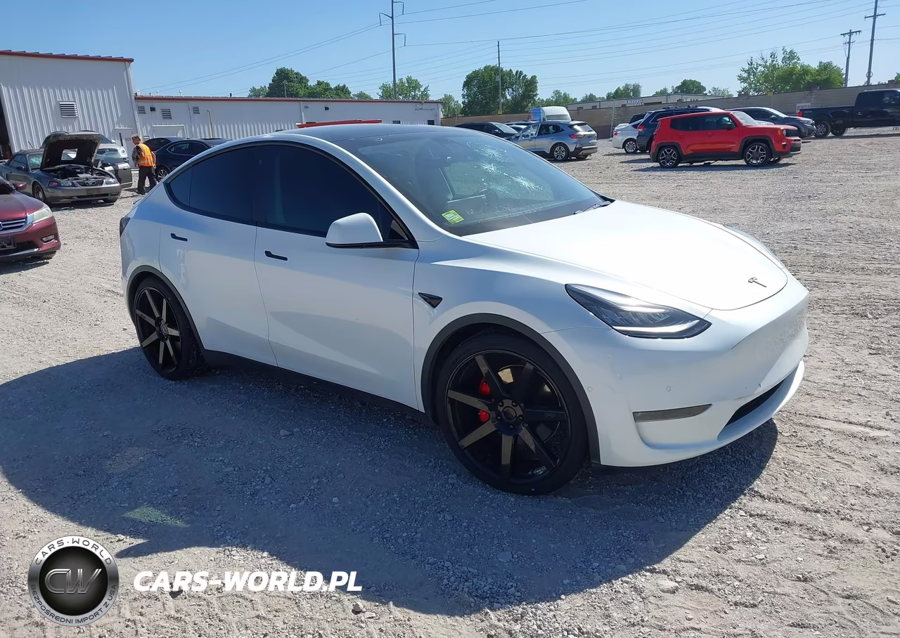 2020 Tesla Model Y Long Range Dual Motor All-Wheel Drive-Performance Dual Motor All-Wheel Drive
