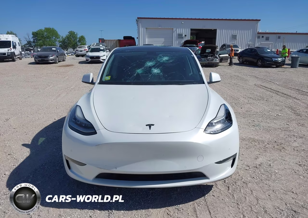 2020 Tesla Model Y Long Range Dual Motor All-Wheel Drive-Performance Dual Motor All-Wheel Drive VIN:5YJYGDEFXLF039994 - 12