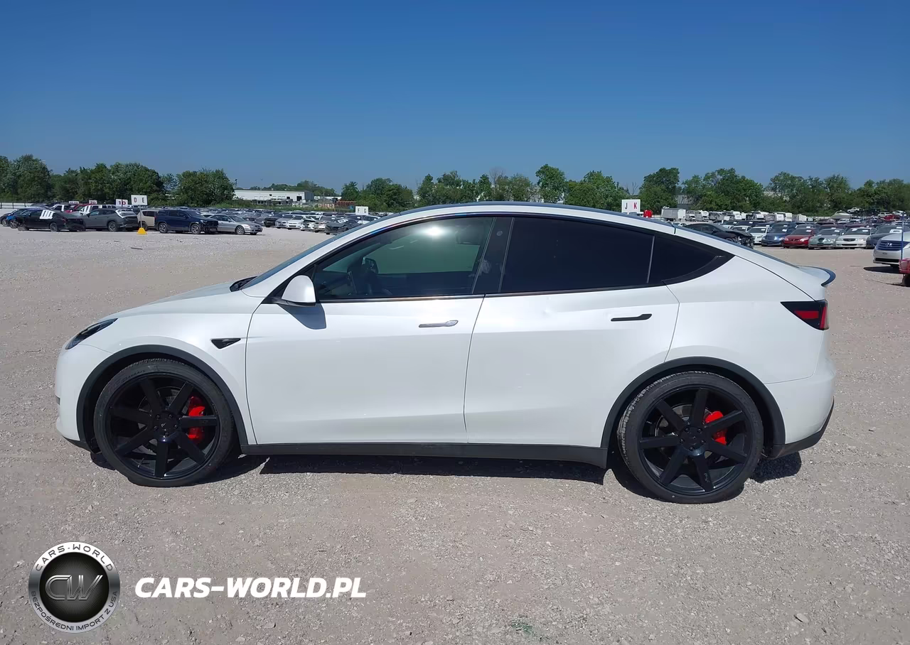 2020 Tesla Model Y Long Range Dual Motor All-Wheel Drive-Performance Dual Motor All-Wheel Drive VIN:5YJYGDEFXLF039994 - 14