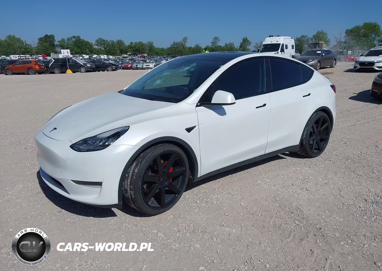 2020 Tesla Model Y Long Range Dual Motor All-Wheel Drive-Performance Dual Motor All-Wheel Drive VIN:5YJYGDEFXLF039994 - 2