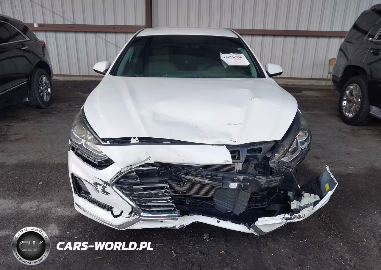 2019 Hyundai Sonata Se VIN:5NPE24AF0KH772711 - 12