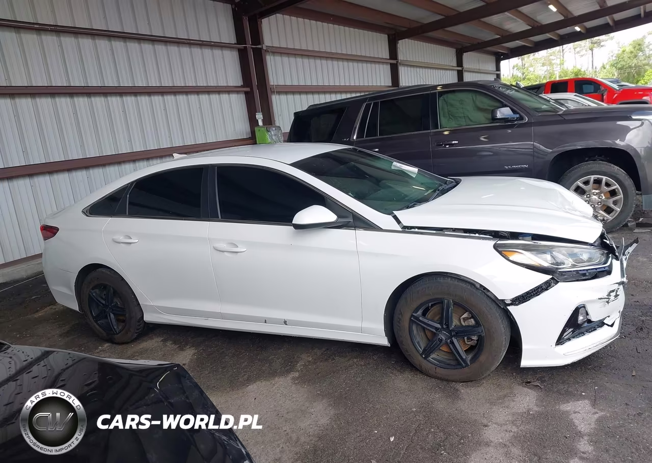 2019 Hyundai Sonata Se VIN:5NPE24AF0KH772711 - 13