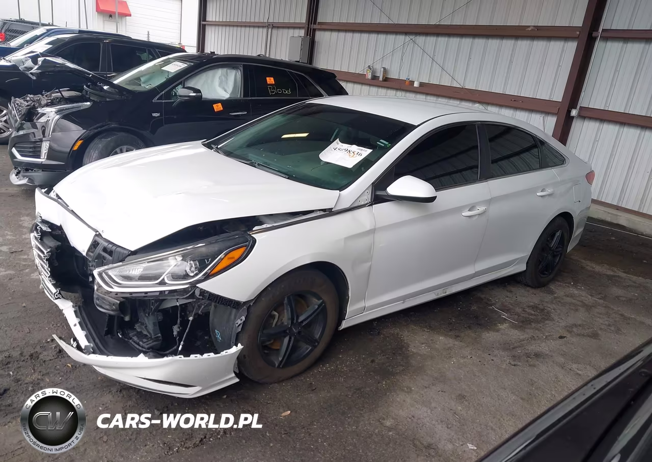 2019 Hyundai Sonata Se VIN:5NPE24AF0KH772711 - 14