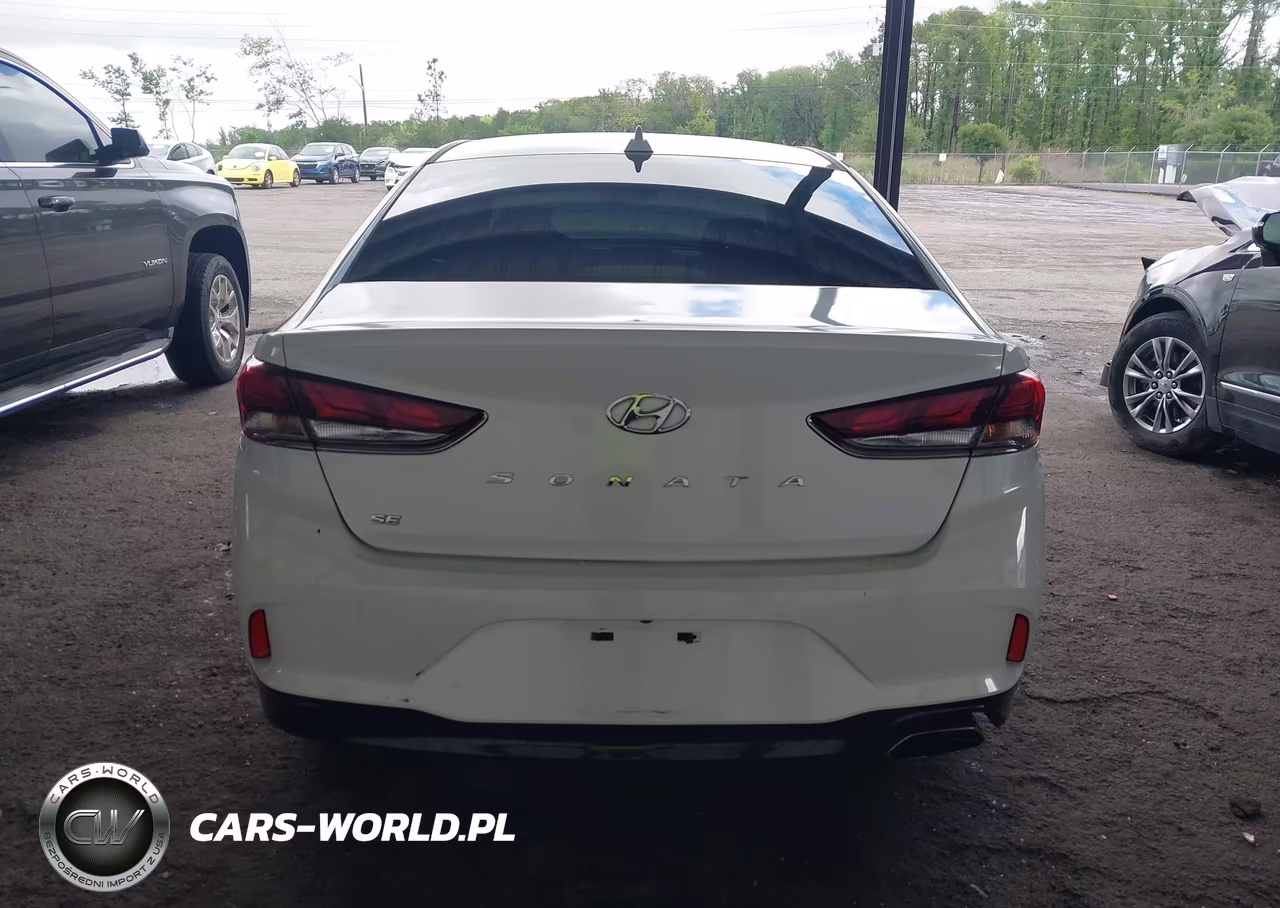 2019 Hyundai Sonata Se VIN:5NPE24AF0KH772711 - 16
