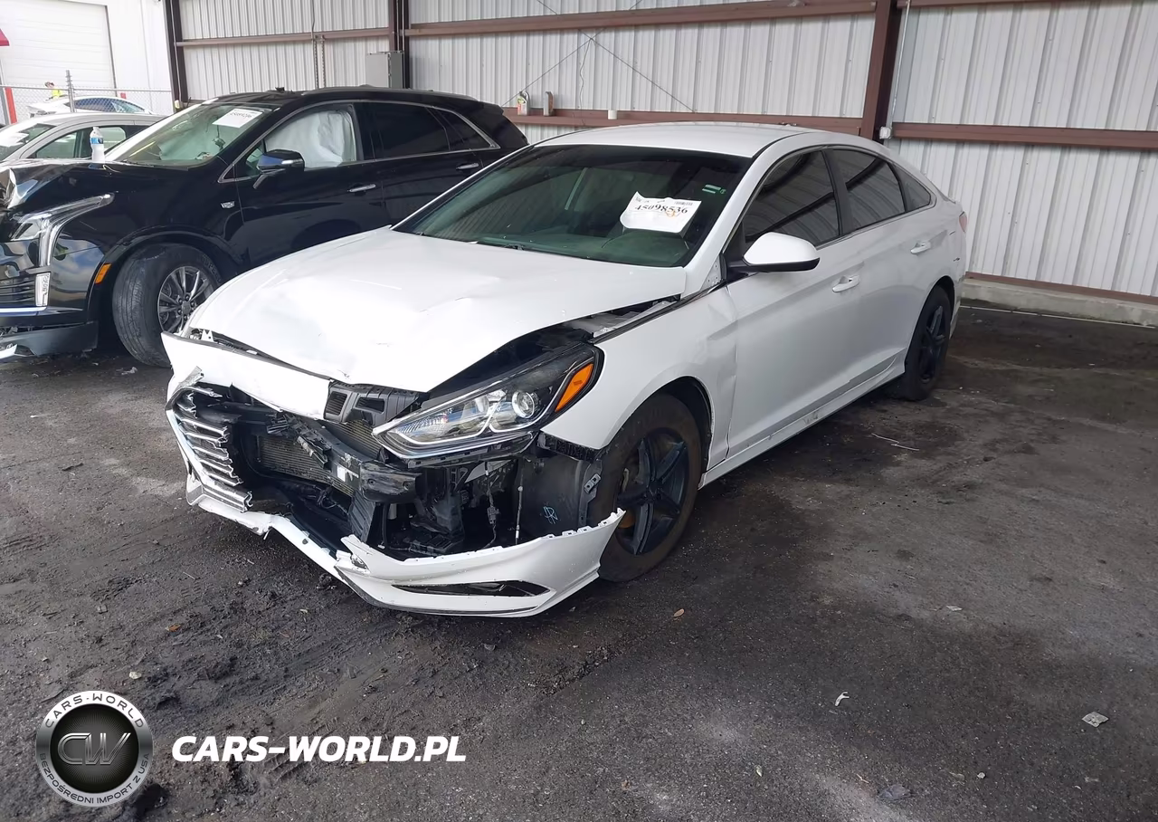 2019 Hyundai Sonata Se VIN:5NPE24AF0KH772711 - 2
