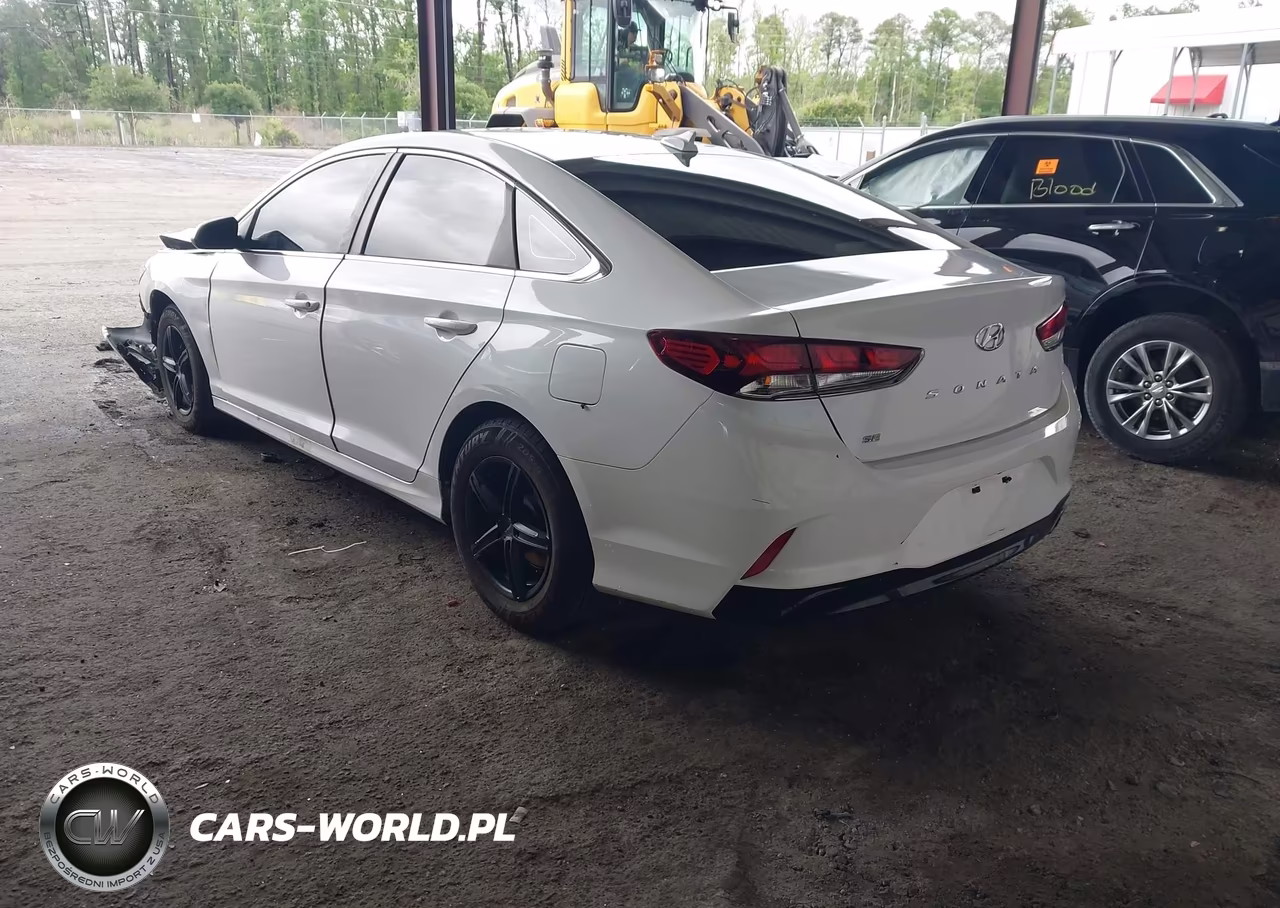 2019 Hyundai Sonata Se VIN:5NPE24AF0KH772711 - 3