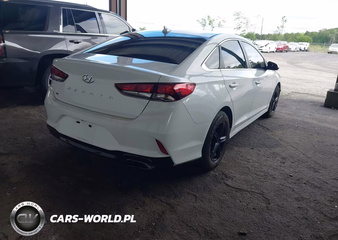 2019 Hyundai Sonata Se VIN:5NPE24AF0KH772711 - 4