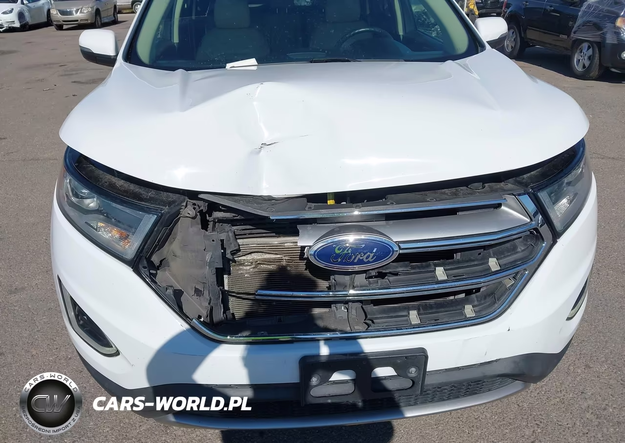 2016 Ford Edge Sel VIN:2FMPK3J88GBB31602 - 6