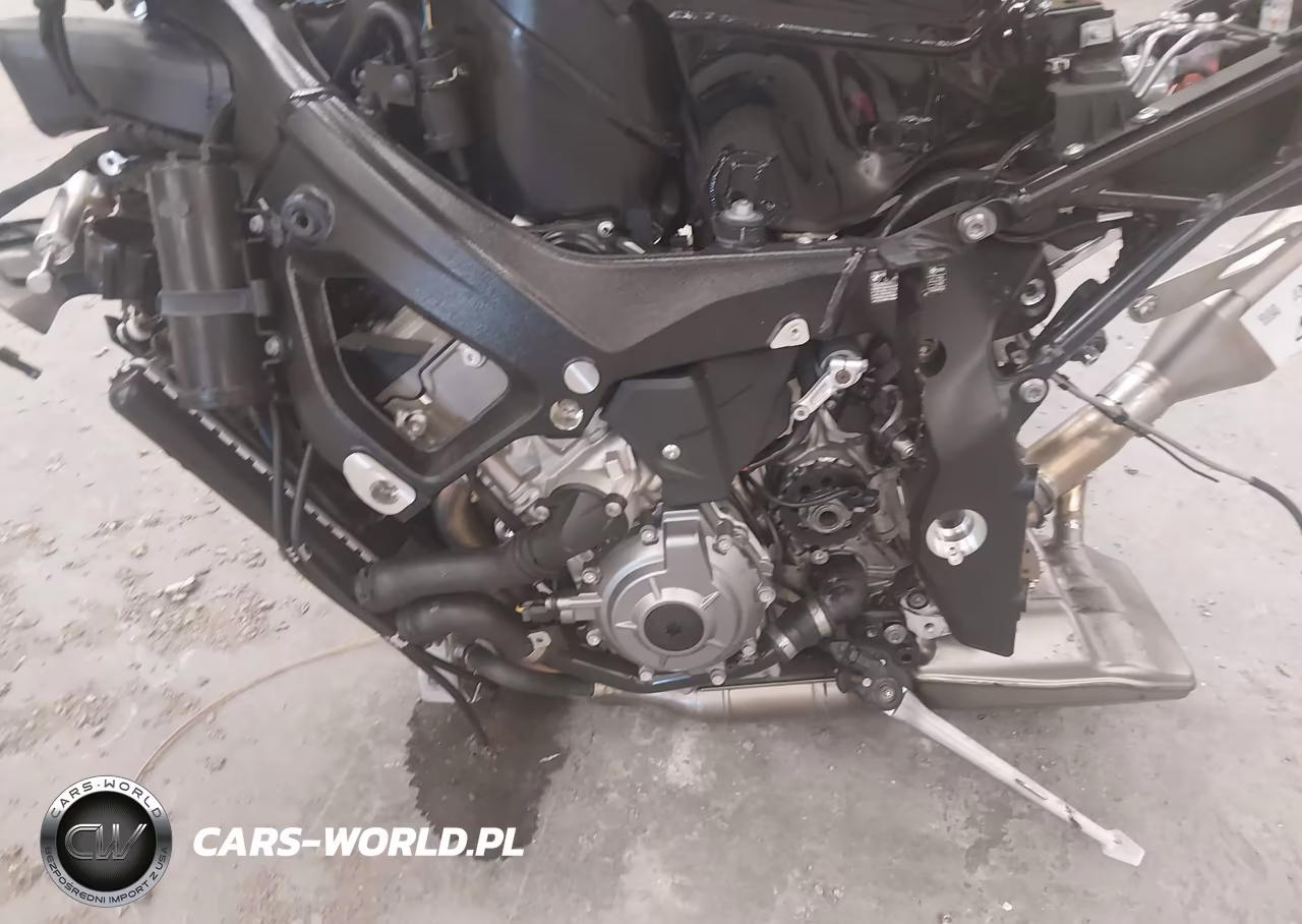2024 BMW M 1000 Rr VIN:WB10P0307R6J21610 - 9