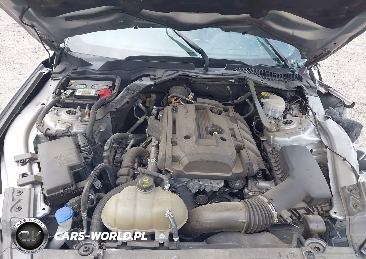 2020 Ford Mustang Ecoboost Premium VIN:1FATP8UH4L5184623 - 10
