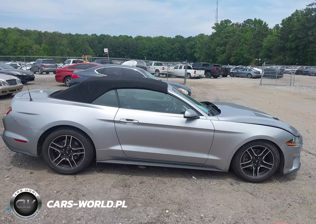 2020 Ford Mustang Ecoboost Premium VIN:1FATP8UH4L5184623 - 13