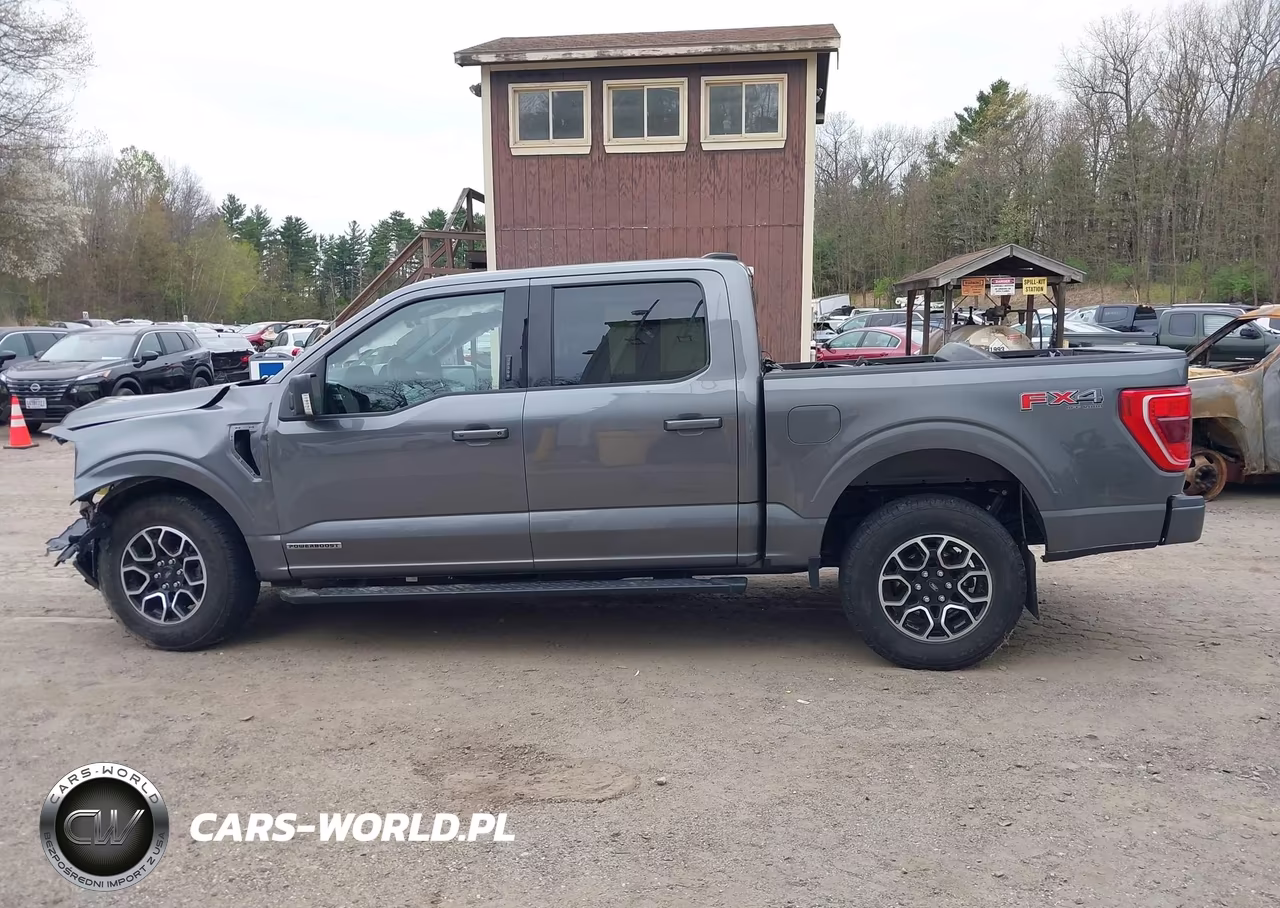 2023 Ford F-150 Xlt VIN:1FTFW1EDXPFC50623 - 14